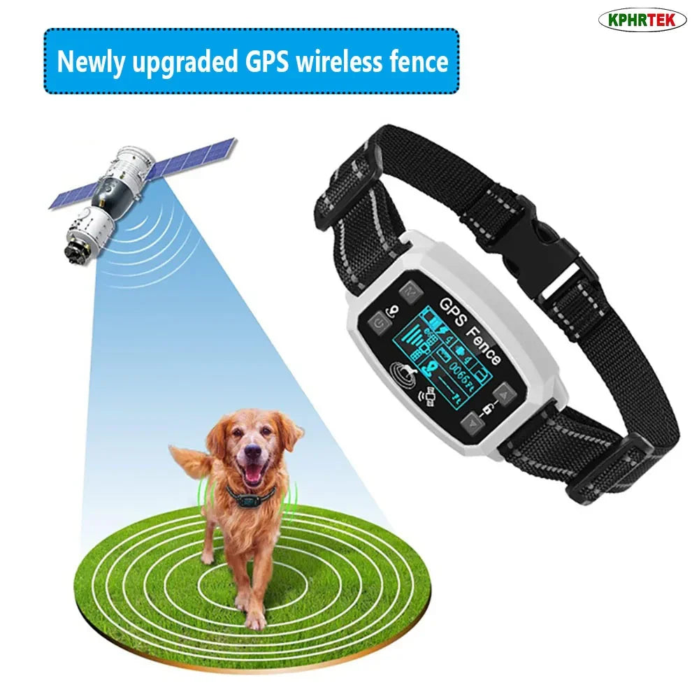GPS Tags & Collars