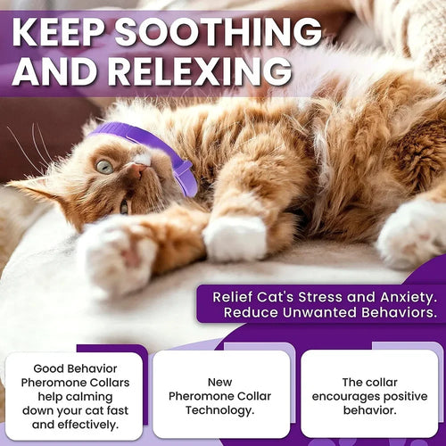 Calming Cat Collar