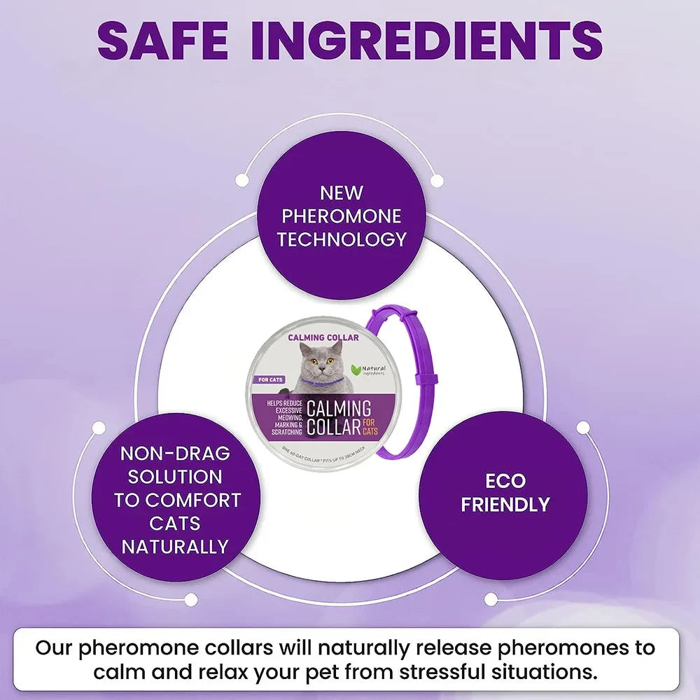 Calming Cat Collar
