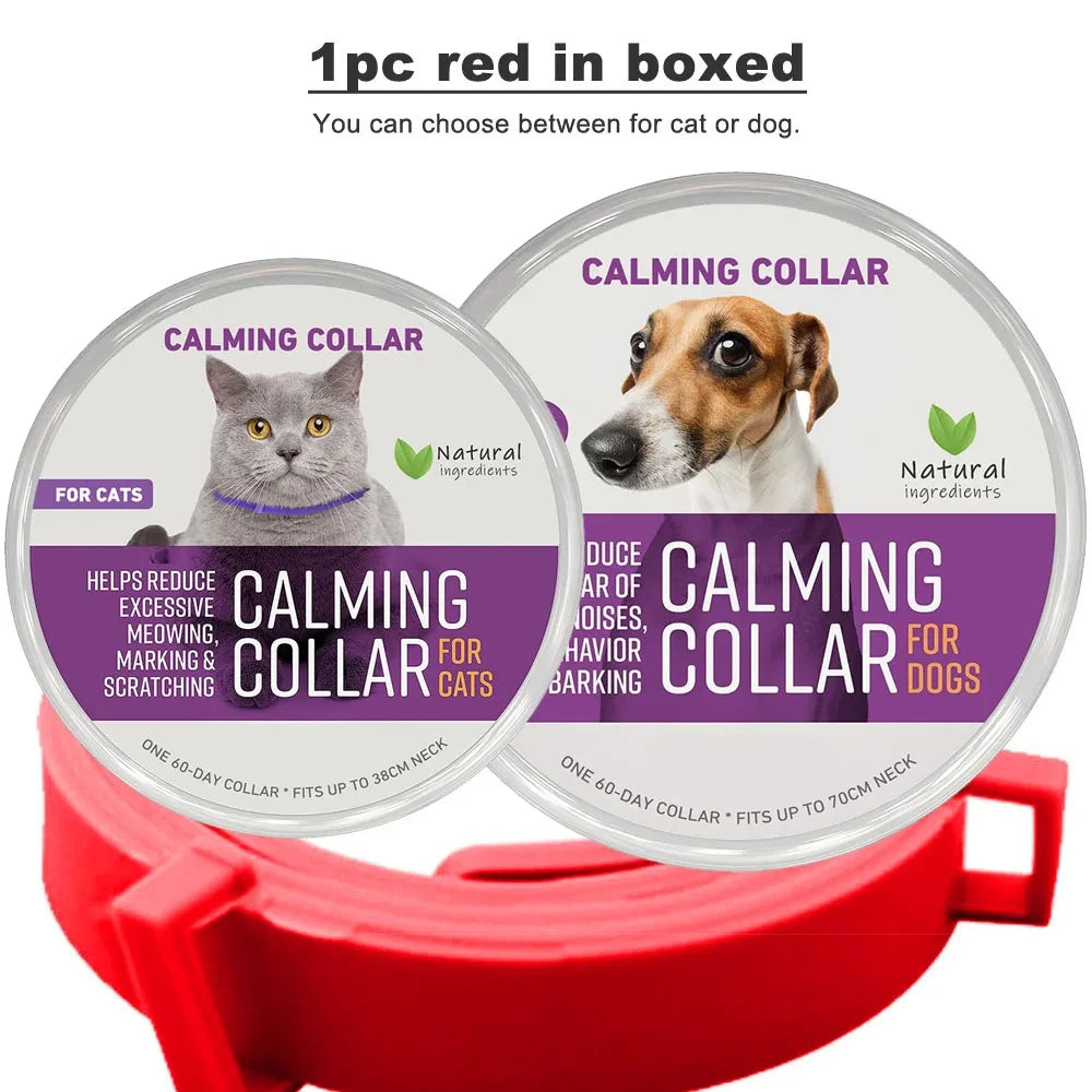 Calming Cat Collar