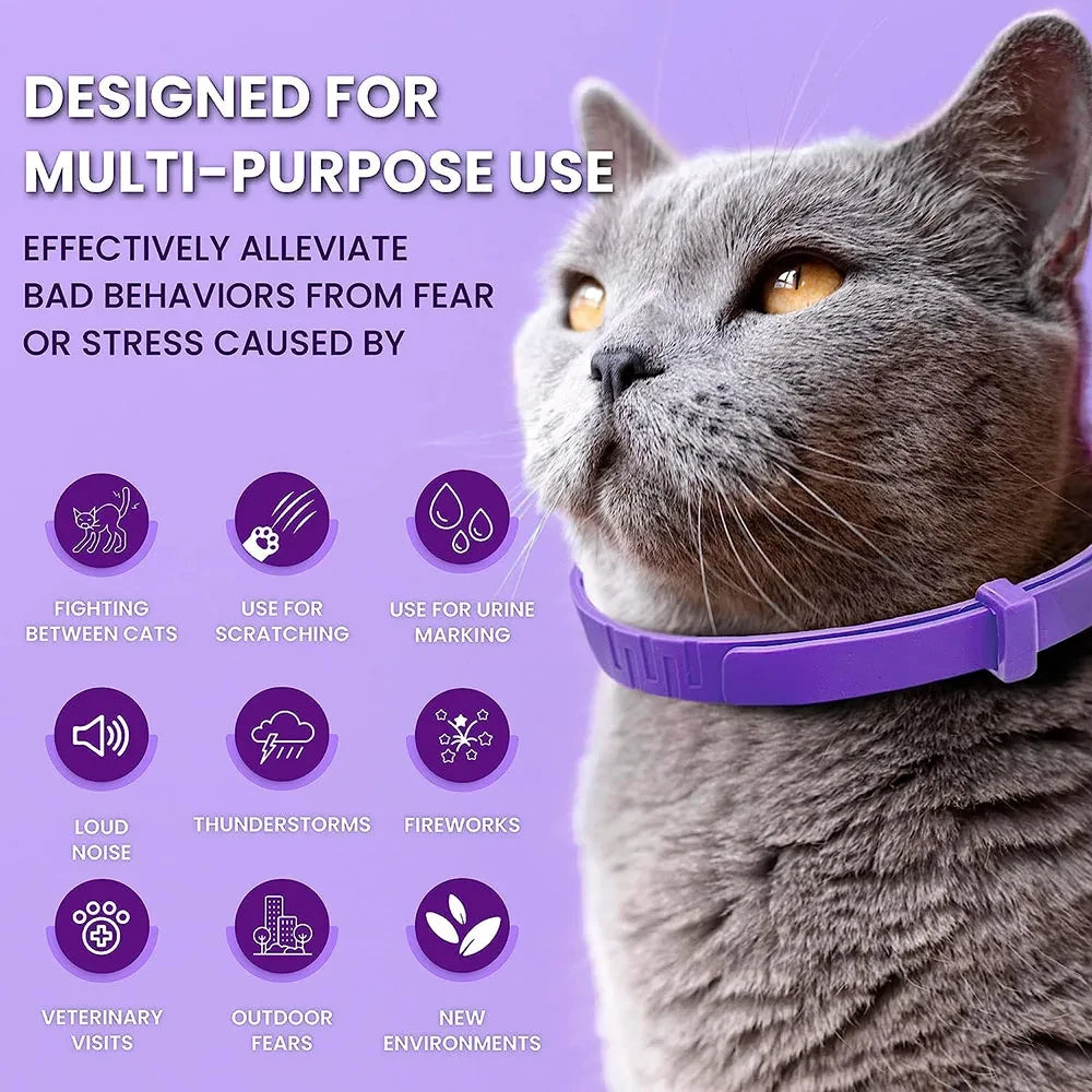 Calming Cat Collar