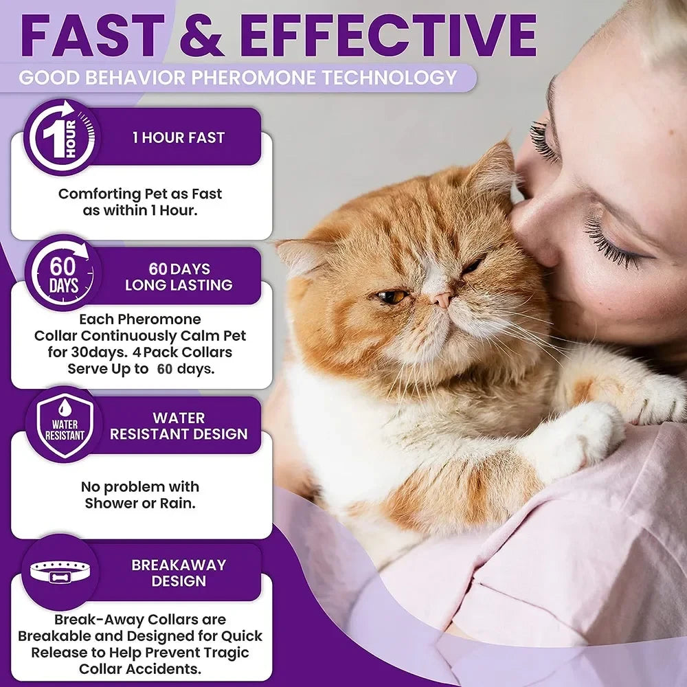 Calming Cat Collar