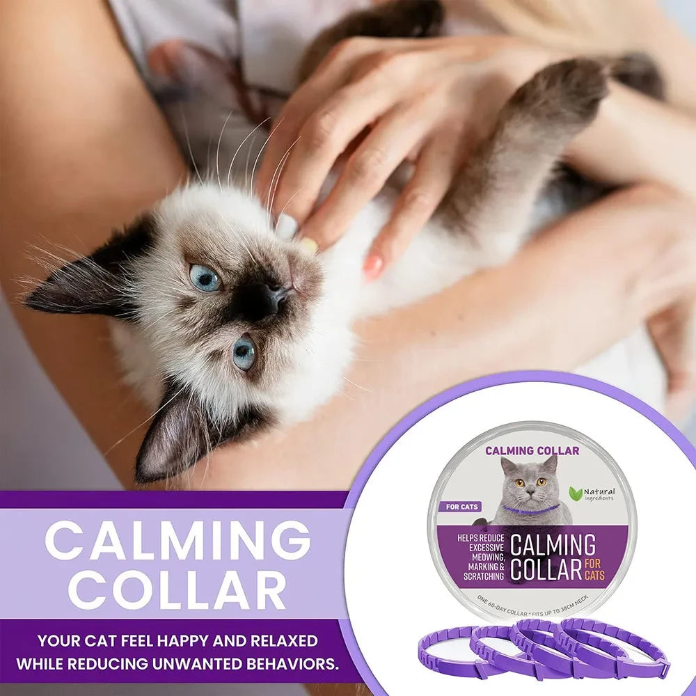 Calming Cat Collar