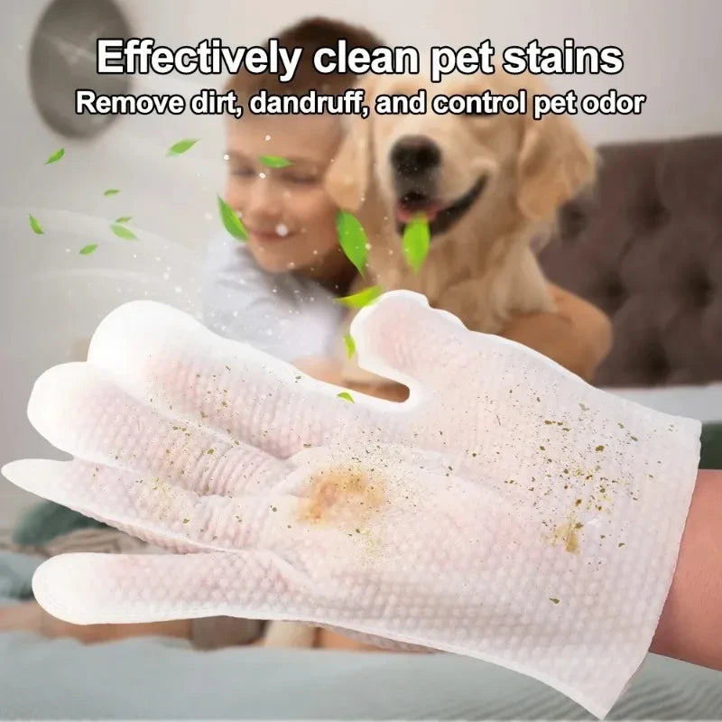 Disposable Pet Cleaning Gloves