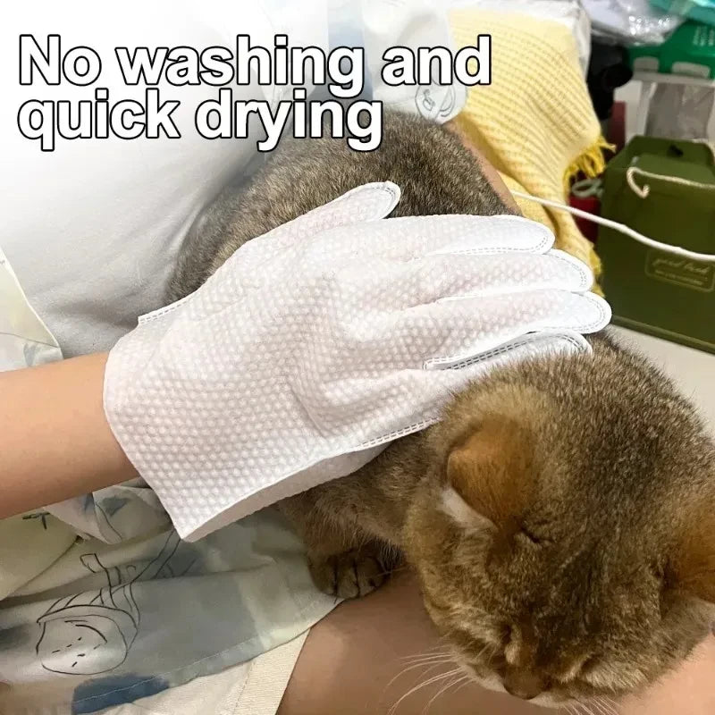 Disposable Pet Cleaning Gloves