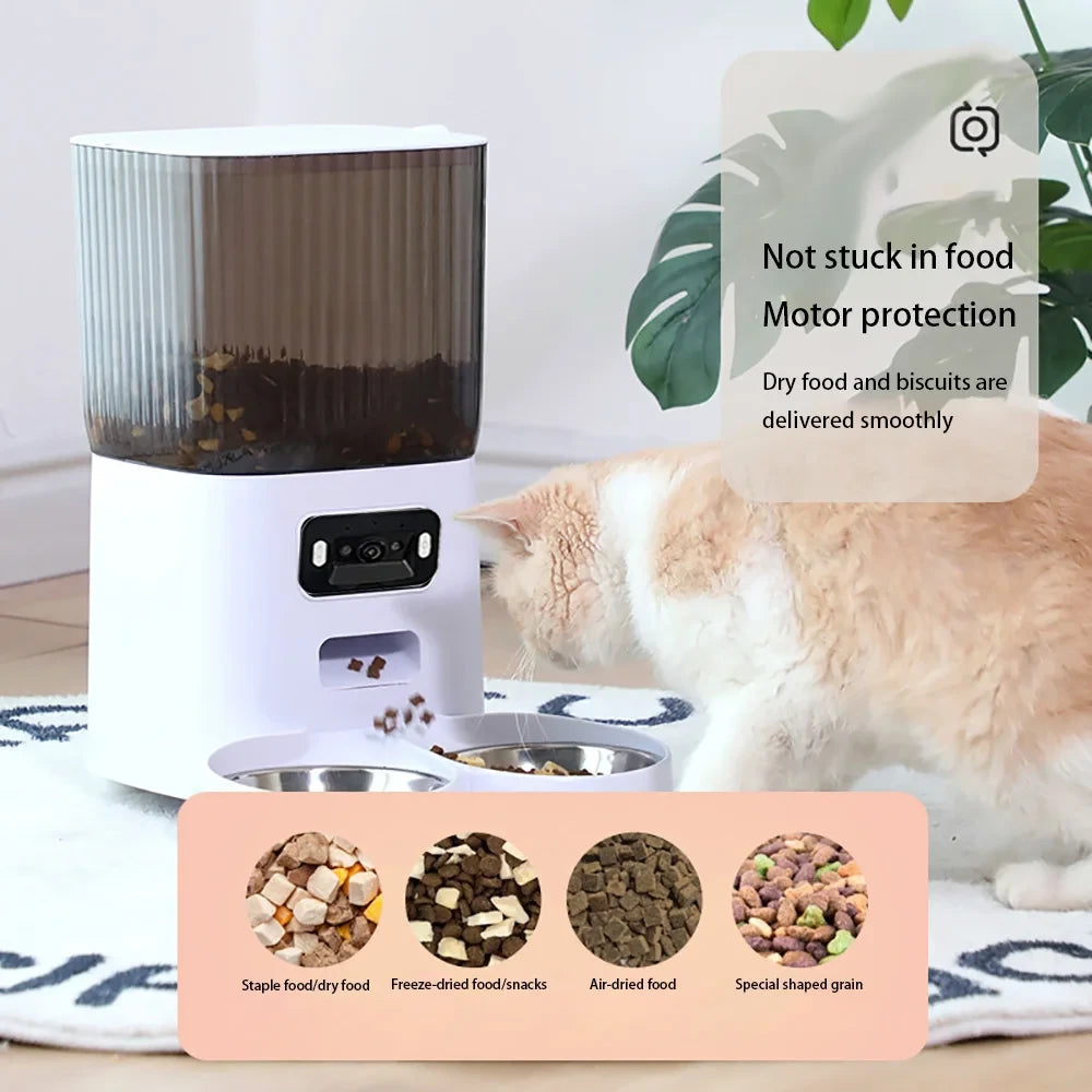 Double Bowl Smart Feeder
