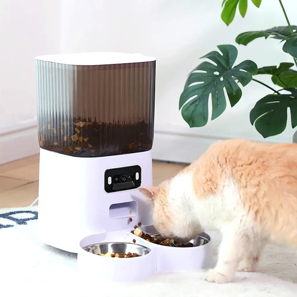 Double Bowl Smart Feeder