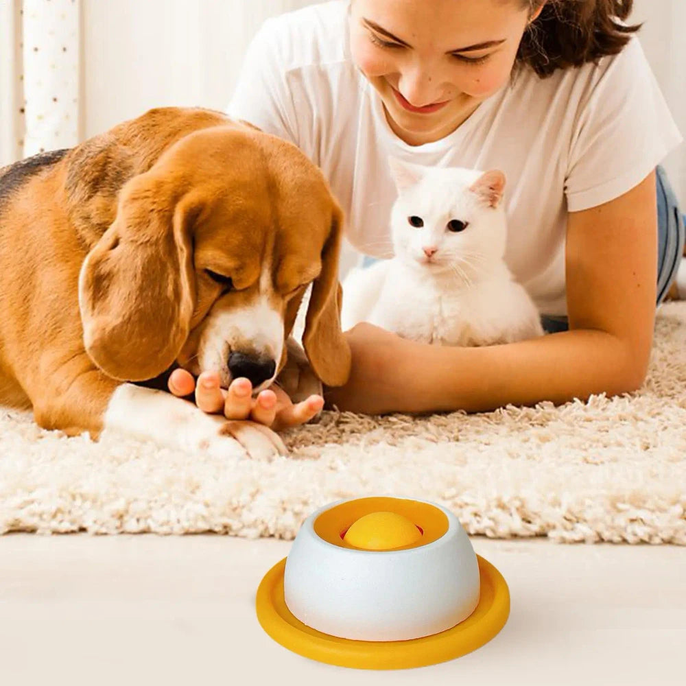 Puppy Treat Puzzle