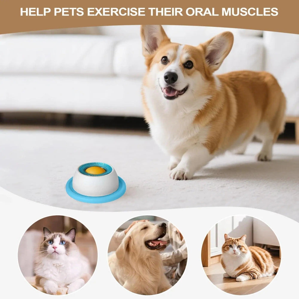 Puppy Treat Puzzle