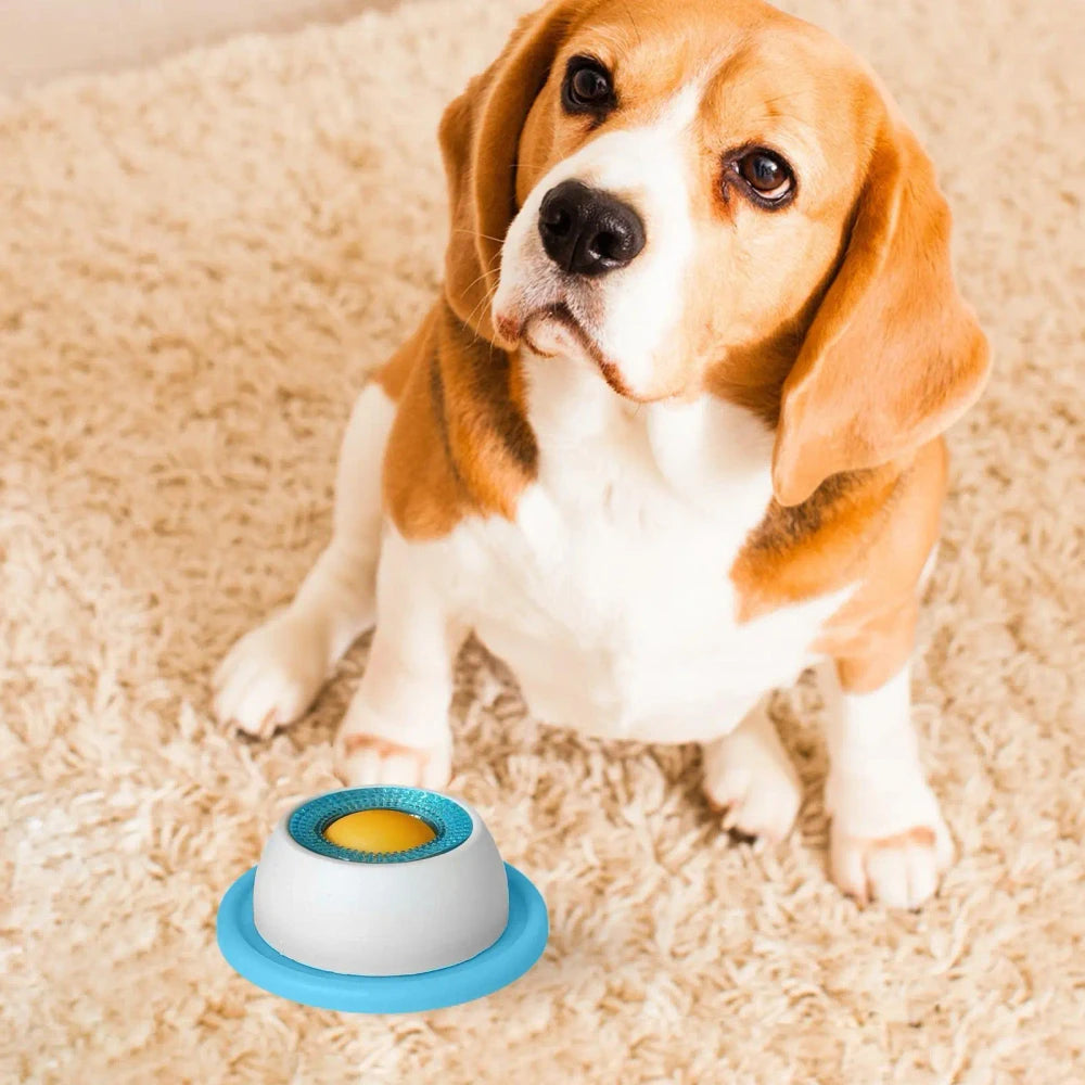 Puppy Treat Puzzle