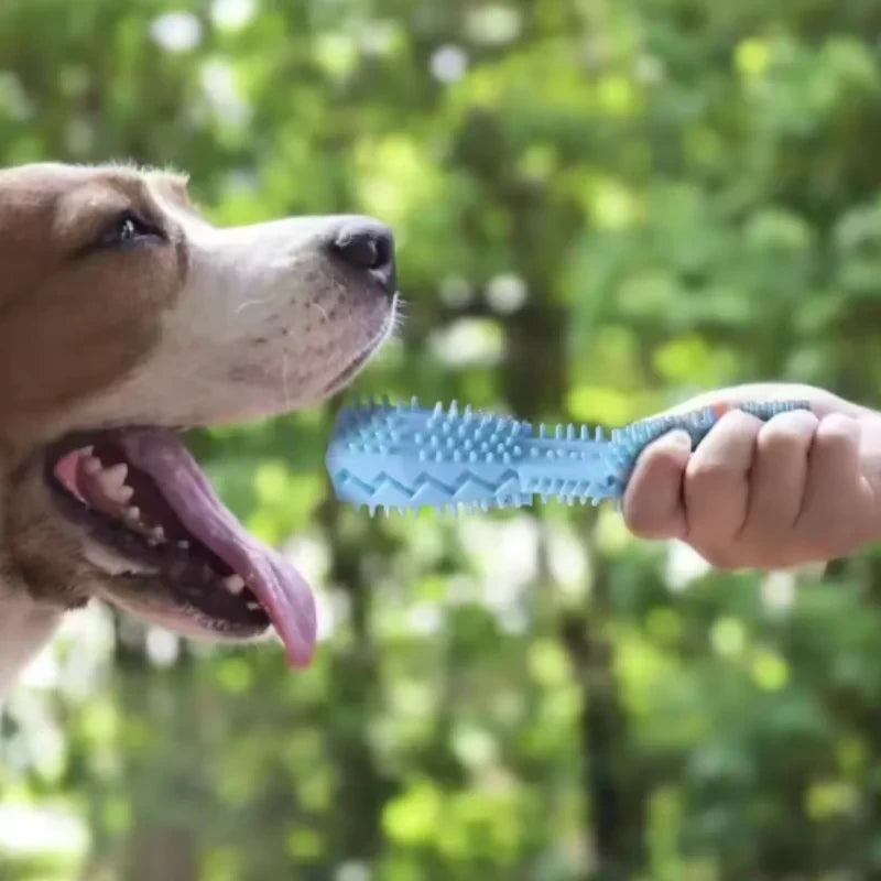 Dog Chew Stick Toy