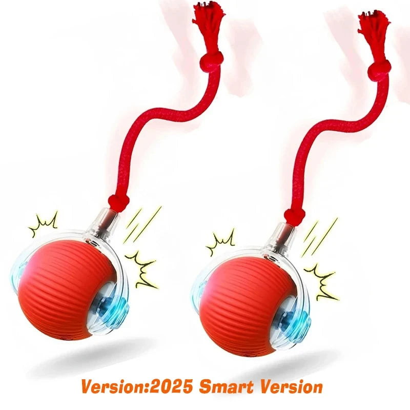 Smart Interactive Dog Ball