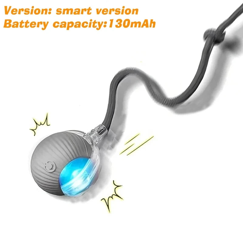 Smart Interactive Dog Ball