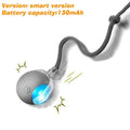 Smart Interactive Dog Ball