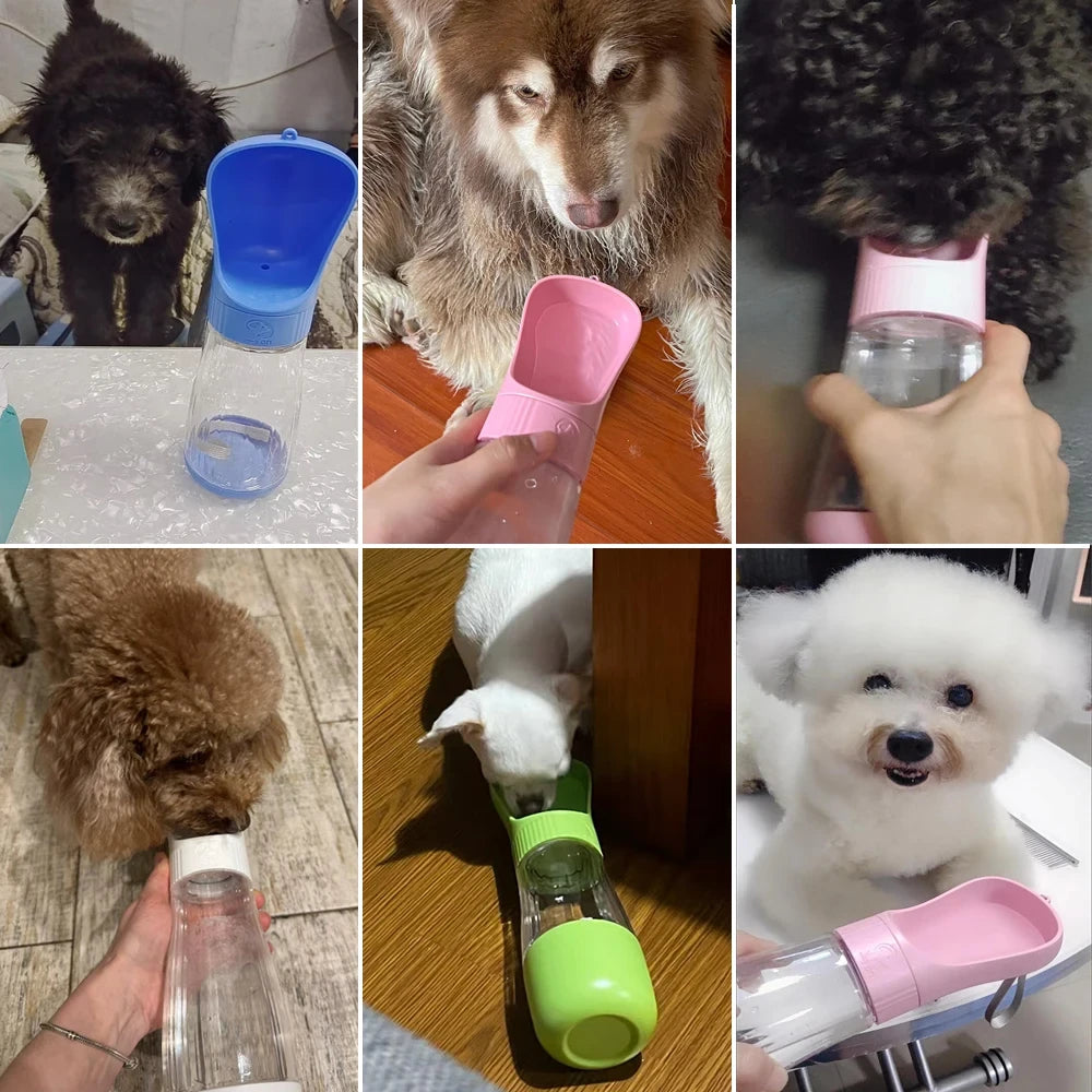 2-in-1 Dog Water Bottle