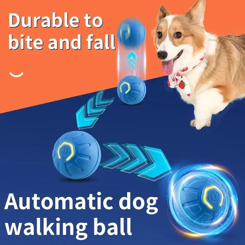 Interactive Dog Ball Toy
