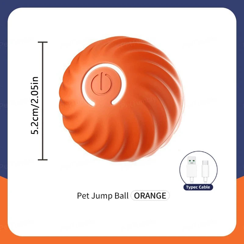 Interactive Dog Ball Toy