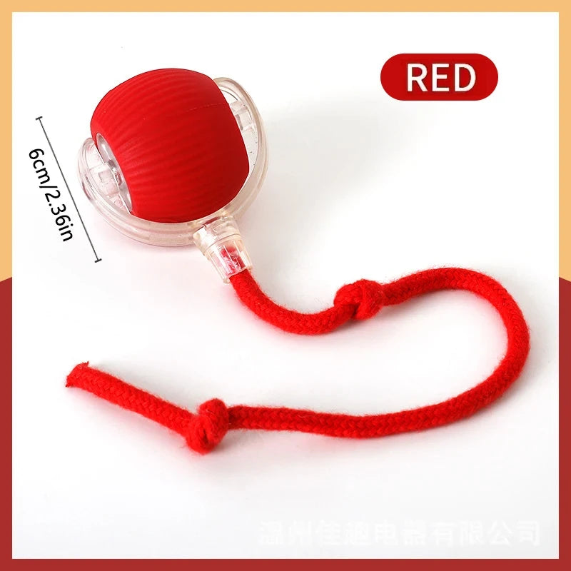Interactive Dog Ball Toy