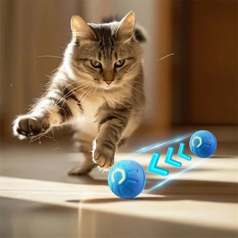 Interactive Dog Ball Toy