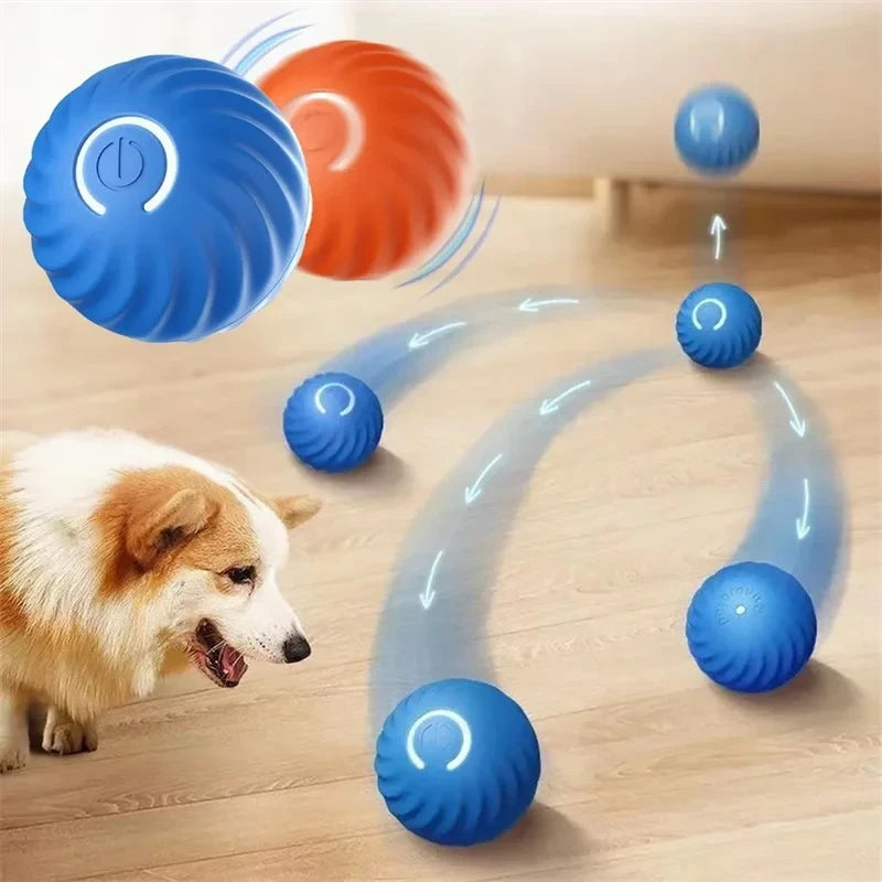 Interactive Dog Ball Toy