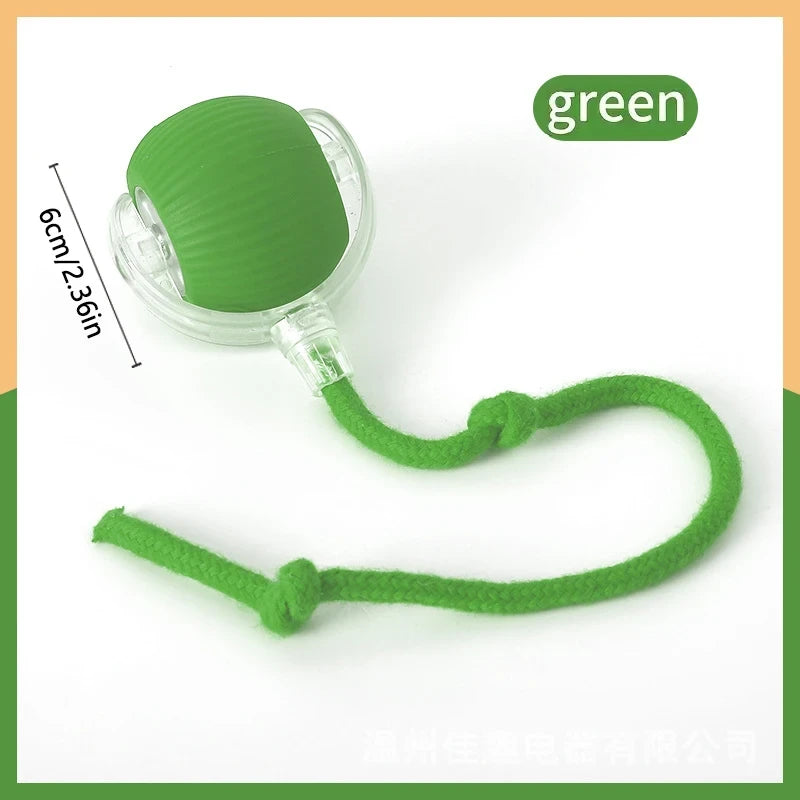 Interactive Dog Ball Toy