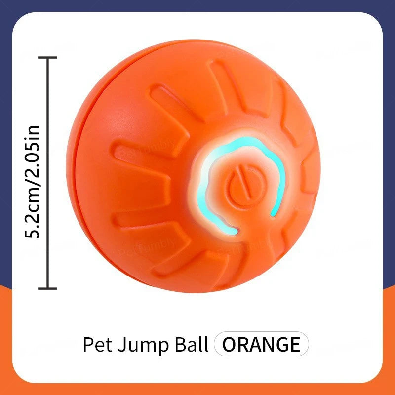 Interactive Dog Ball Toy