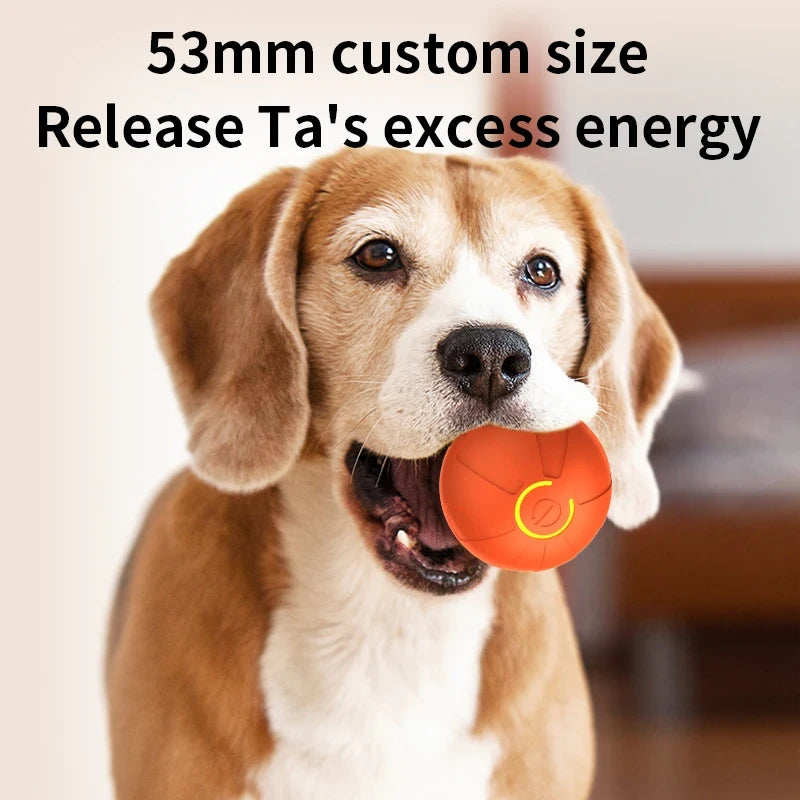 Interactive Rolling Dog Toy