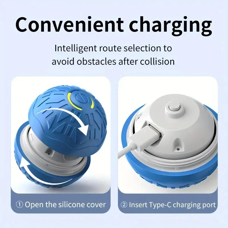 Interactive Rolling Dog Toy