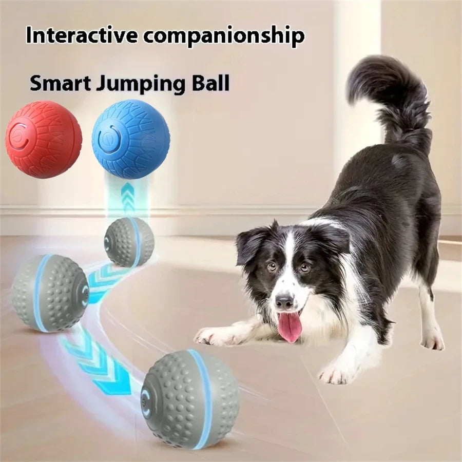 Interactive Rolling Dog Toy