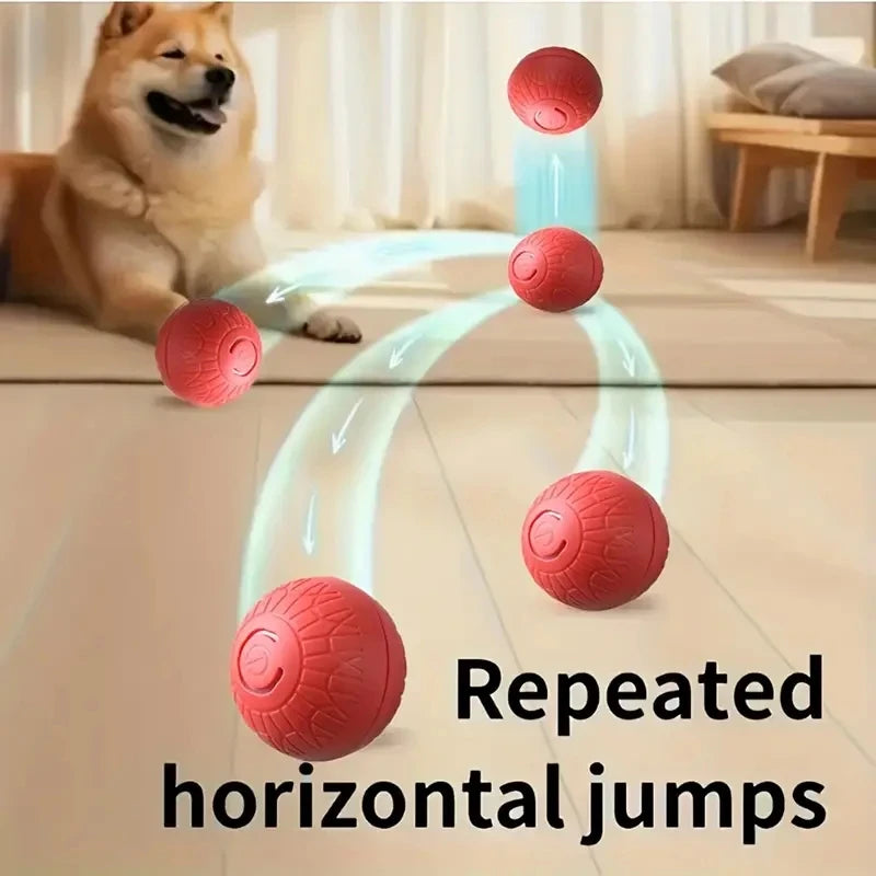 Interactive Rolling Dog Toy