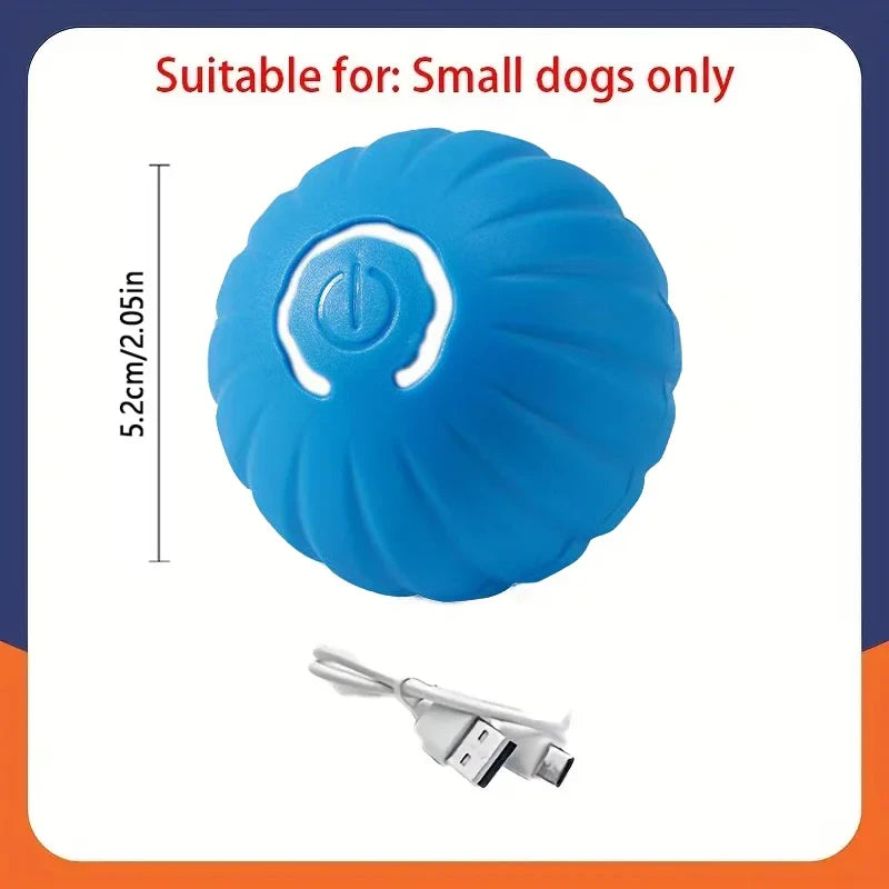 Interactive Rolling Dog Toy