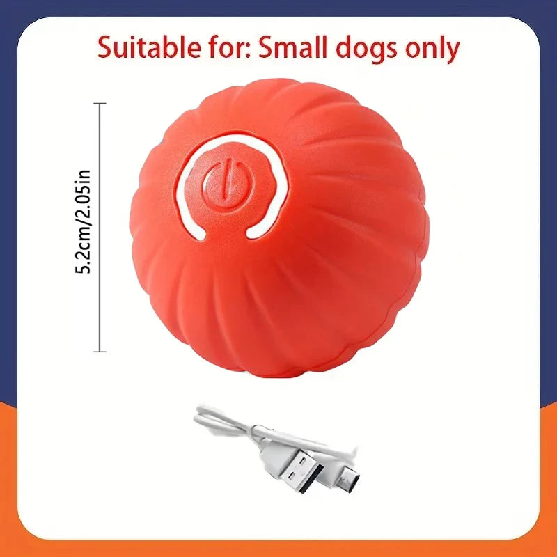Interactive Rolling Dog Toy