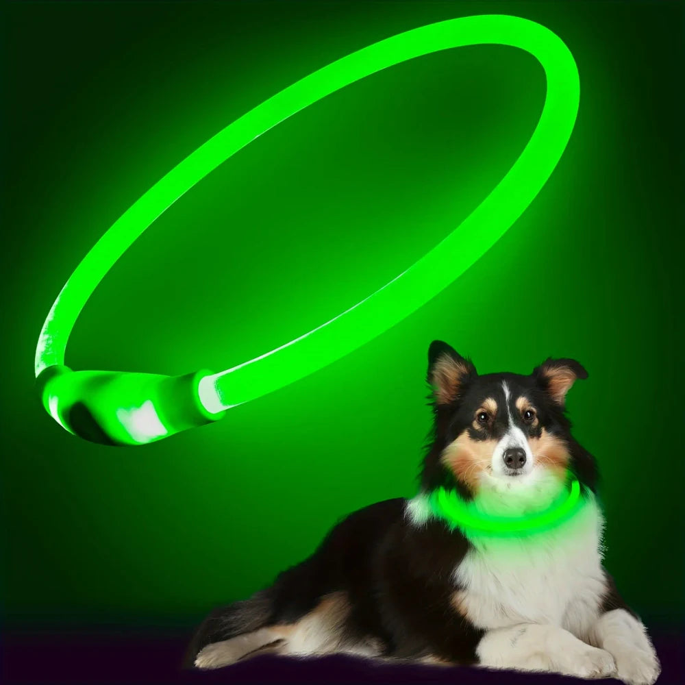 Rechargeable LED Dog Collar