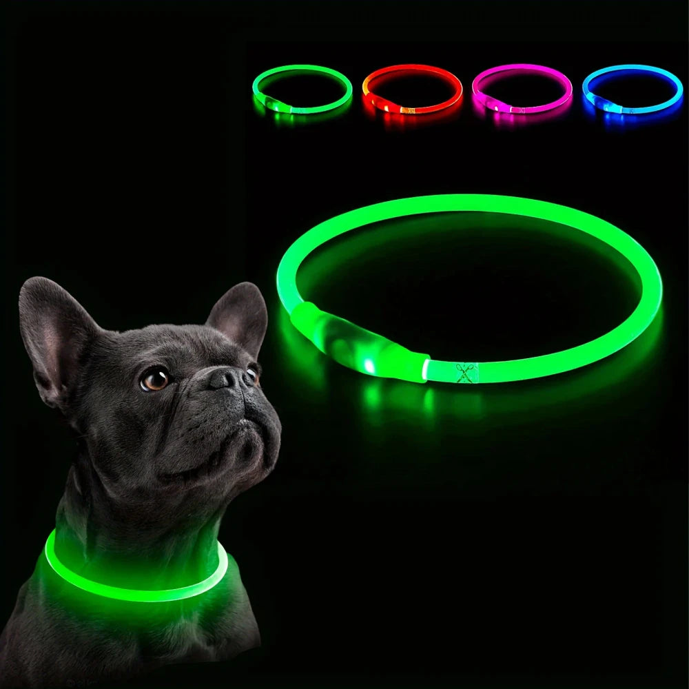 Rechargeable LED Dog Collar
