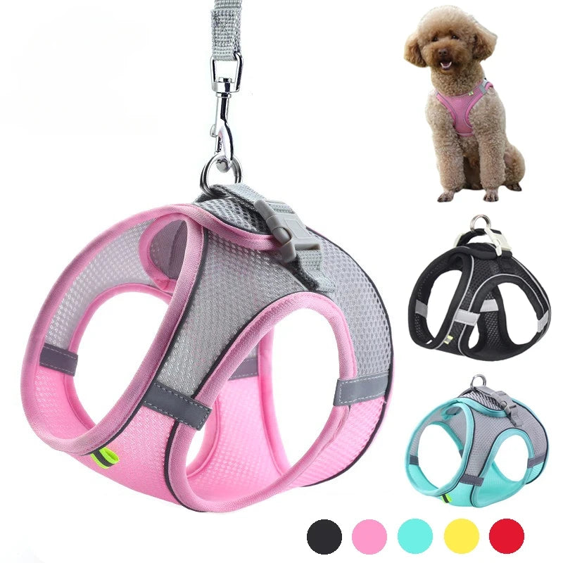Adjustable Small Dog Harness Set