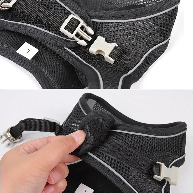 Adjustable Small Dog Harness Set