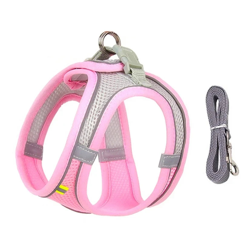 Adjustable Small Dog Harness Set