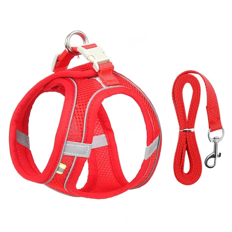 Adjustable Small Dog Harness Set