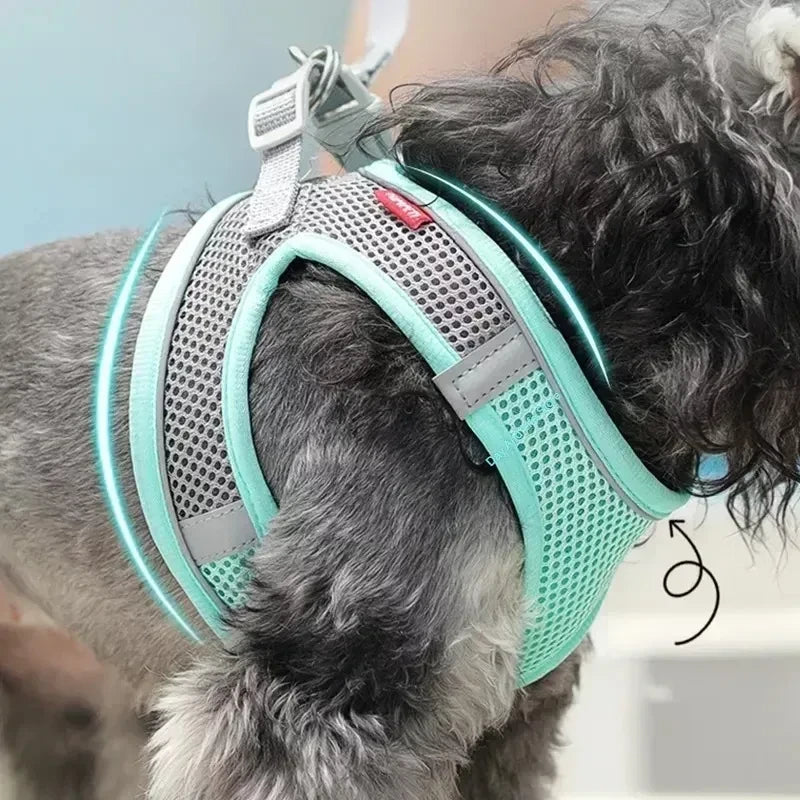 Adjustable Small Dog Harness Set