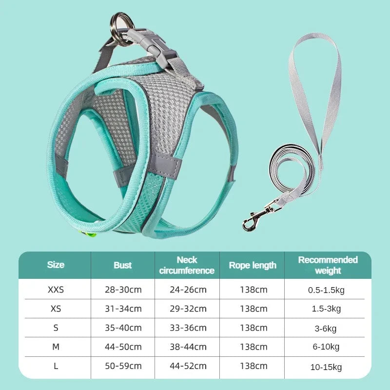 Adjustable Small Dog Harness Set