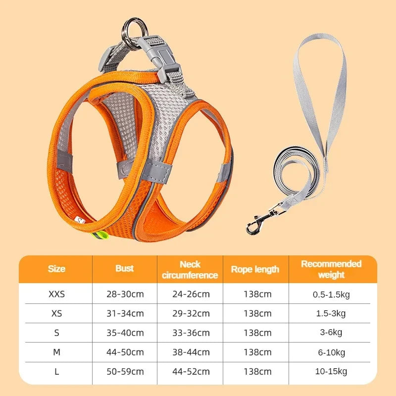Adjustable Small Dog Harness Set