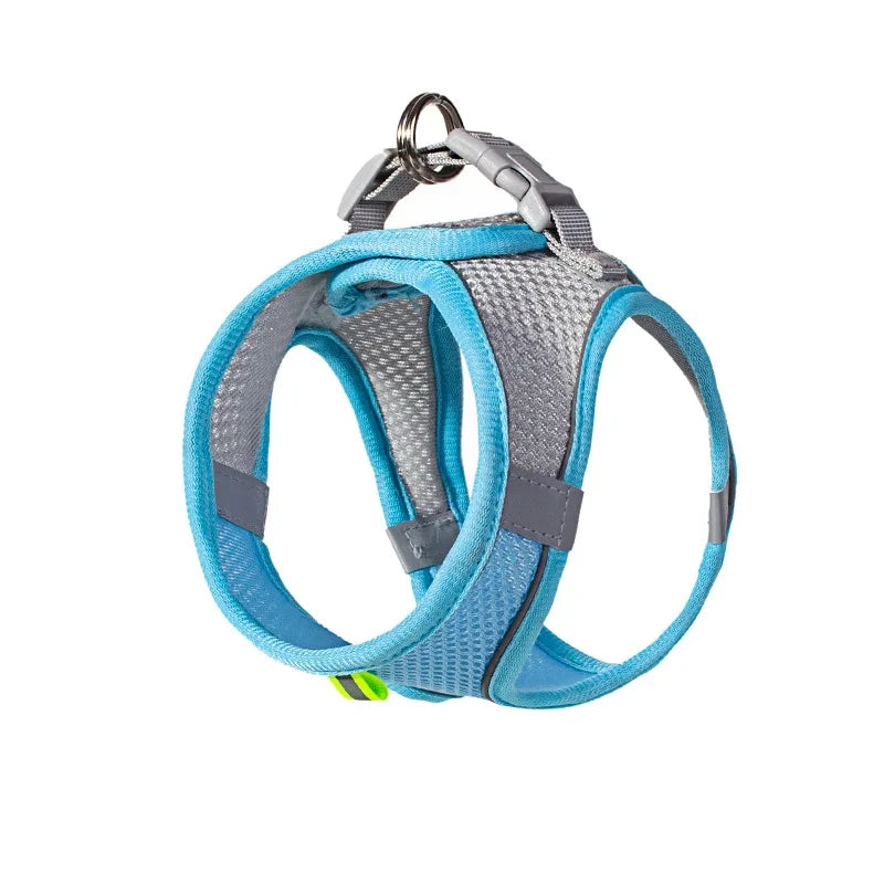 Adjustable Small Dog Harness Set