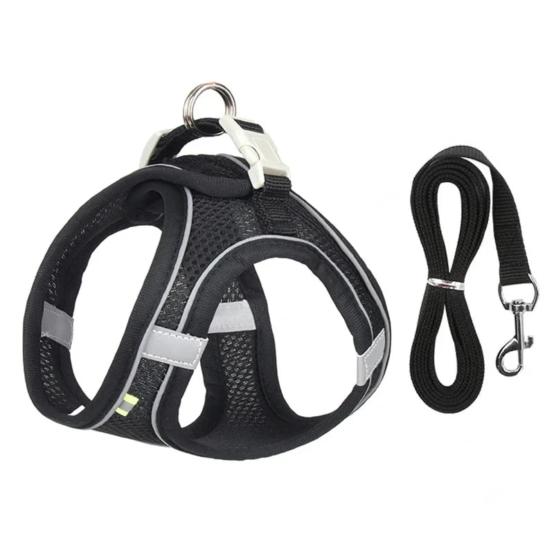 Adjustable Small Dog Harness Set
