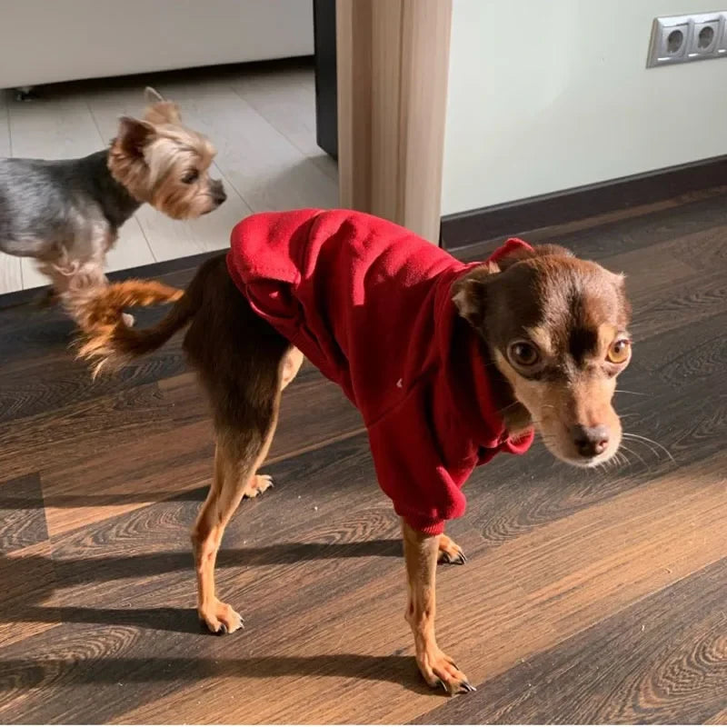 Solid Cotton Dog Hoodie