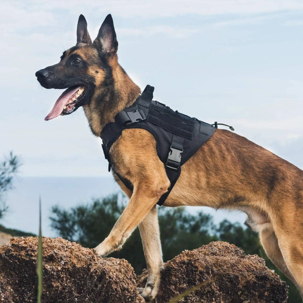 Tactical Dog Harness with Handle