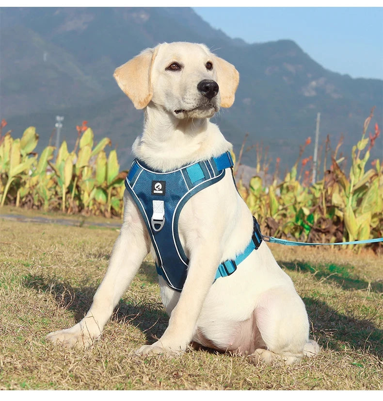 Reflective Adjustable Dog Vest Harness