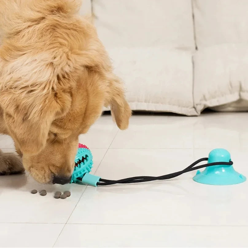Interactive Dog Suction Cup Chew Toy