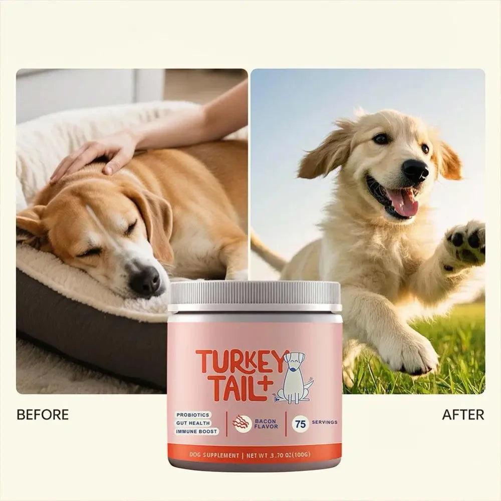 Dog Probiotic Supplement for Gut Health