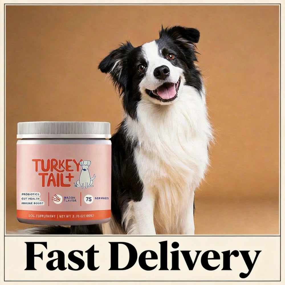 Dog Probiotic Supplement for Gut Health